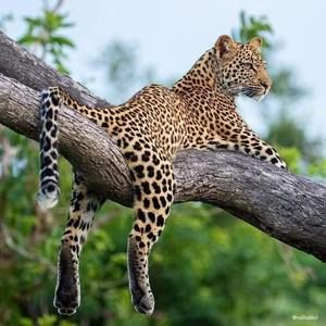 Meet your Posher, Helen